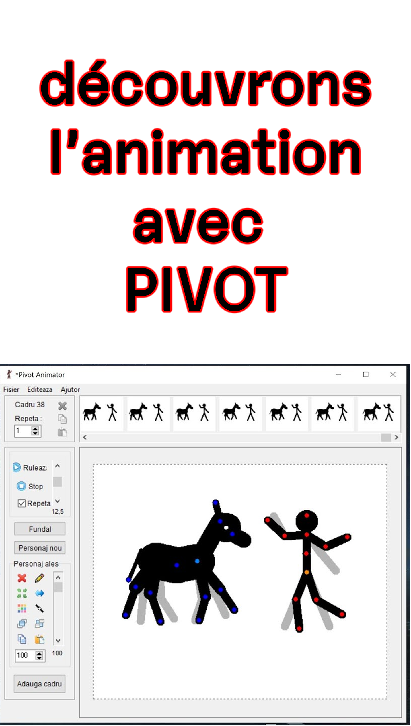 Les bases de l'ANIMATION